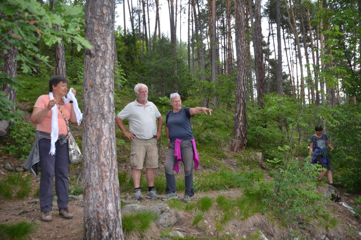 Rielingerhof 06.06.2019